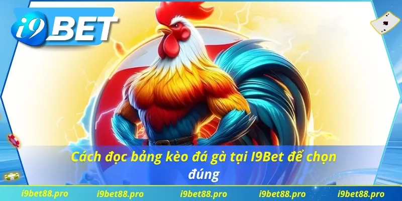 Hướng dẫn cách đọc bảng kèo đá gà chi tiết