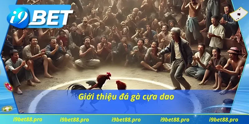 Đá gà cựa dao là trò chơi giải trí đầy kịch tính